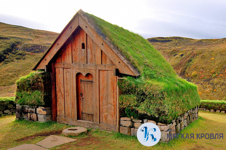 Зеленая кровля Зеленая кровля